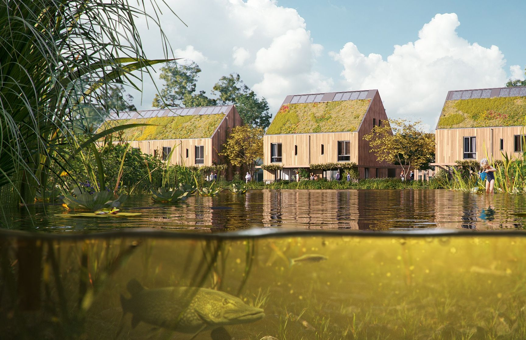 Swanladriehoek — afbeelding 3